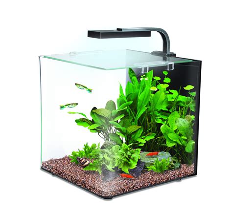 small aquarium amazon